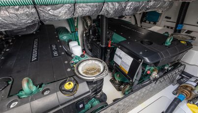 Bozzie For Sale image95