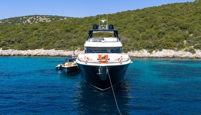 Bella Luna For Sale image6