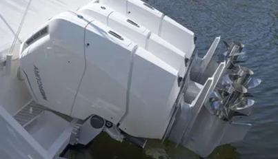 GARBONZO For Sale image5