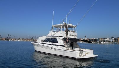 Yacht Z For Sale image3