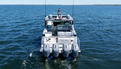 Cosmetic Sturgeon For Sale image12