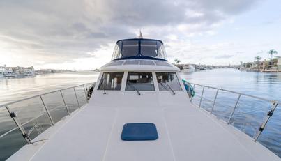 SILVIUS BRABO For Sale image41