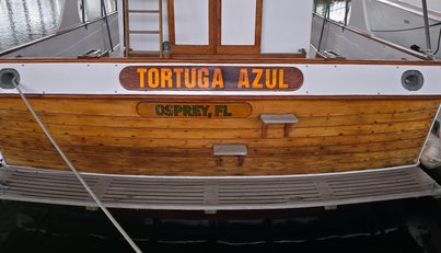 Tortuga Azul For Sale image10