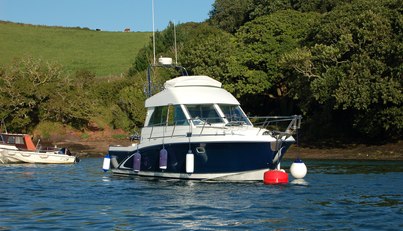 Aquamanda For Sale image3