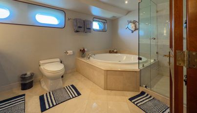 FLYING DUTCHMAN For Sale image40