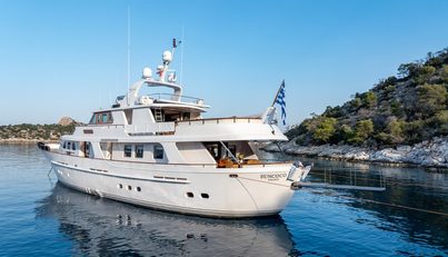SUNCOCO For Sale image14