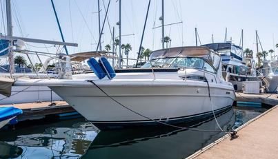 Sea Oddity For Sale image5