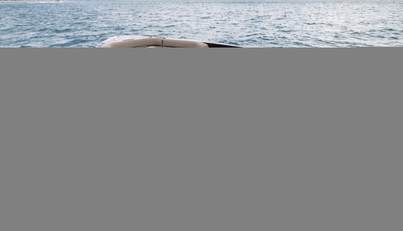 Permanent Vacation For Sale image65