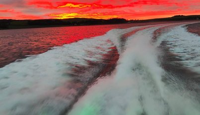 noname For Sale image16