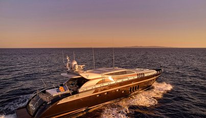 Bagheera For Sale image23