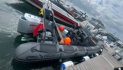 Blushforce For Sale image6