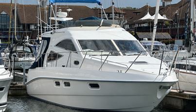 Osprey For Sale image1