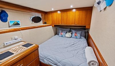 Picosa Lady For Sale image39