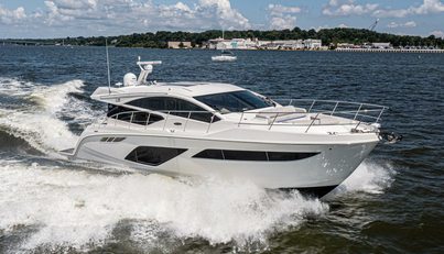 Bob 'N Around For Sale image2