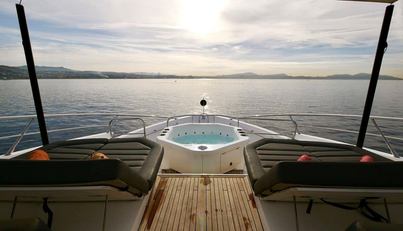 Survivor 2 For Sale image18