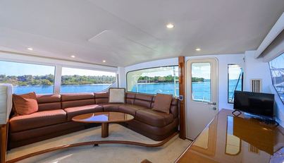 ON ICE For Sale image11