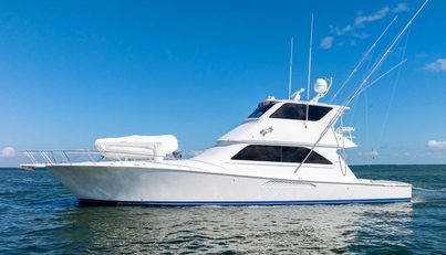 AMANTE For Sale image1