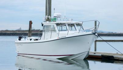 noname For Sale image3