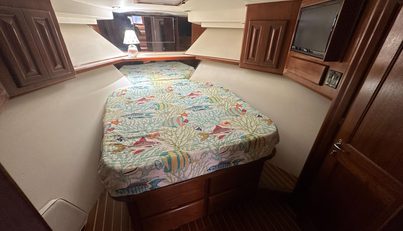 noname For Sale image23