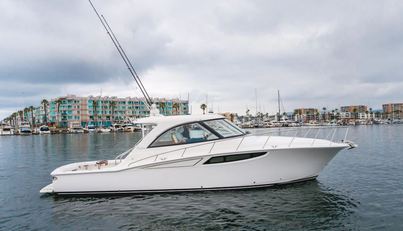 Commodore Two For Sale image10