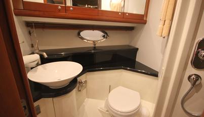 PERFECT WHITE II For Sale image17