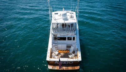ANEJO For Sale image65