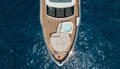 ARIA For Sale image6
