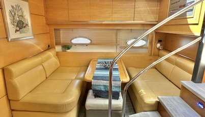 Notorius For Sale image16