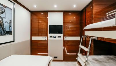 PAPILLON For Sale image13