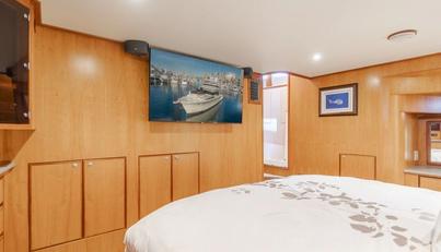 Tribeless For Sale image91