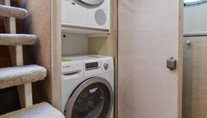 Octopi For Sale image96