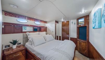 Aphrodite For Sale image26