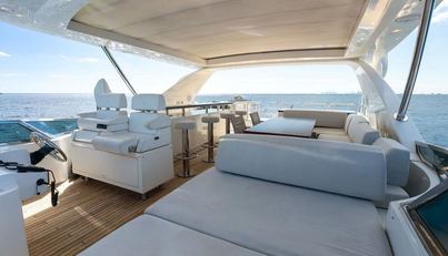 Satisfaction For Sale image16