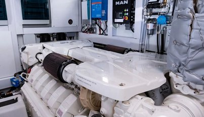 Chinonino For Sale image75