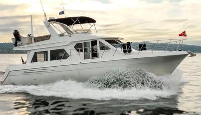 Y Knot For Sale image2