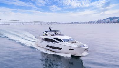 Dragon For Sale image4