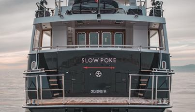 SLOW POKE For Sale image25