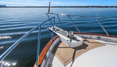 The Cotton Picker For Sale image17