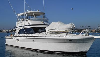 Yacht Z For Sale image14