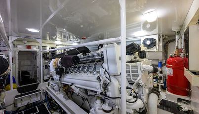 ON ICE For Sale image56