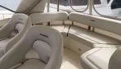 Lady Zette For Sale image16