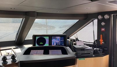 Bamboo For Sale image18