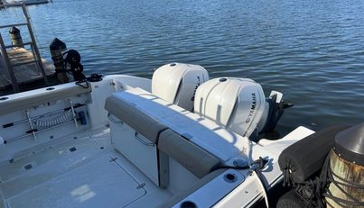 In Pursuit For Sale image6