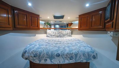 noname For Sale image32