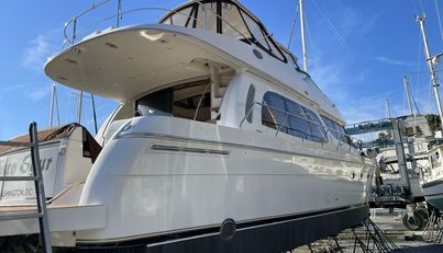 PISCO SOUR For Sale image11