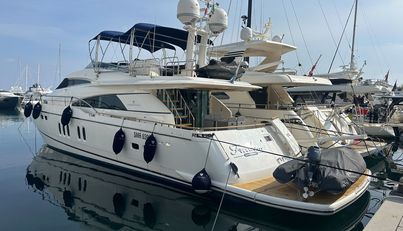 Freedom For Sale image1