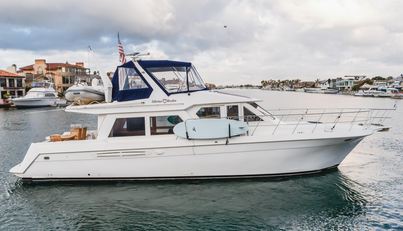 SILVIUS BRABO For Sale image5