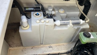 SeaHorse For Sale image36