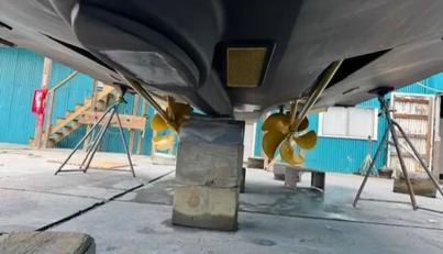 Miss Ella Maye For Sale image107