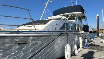 Sea Wolf For Sale image8